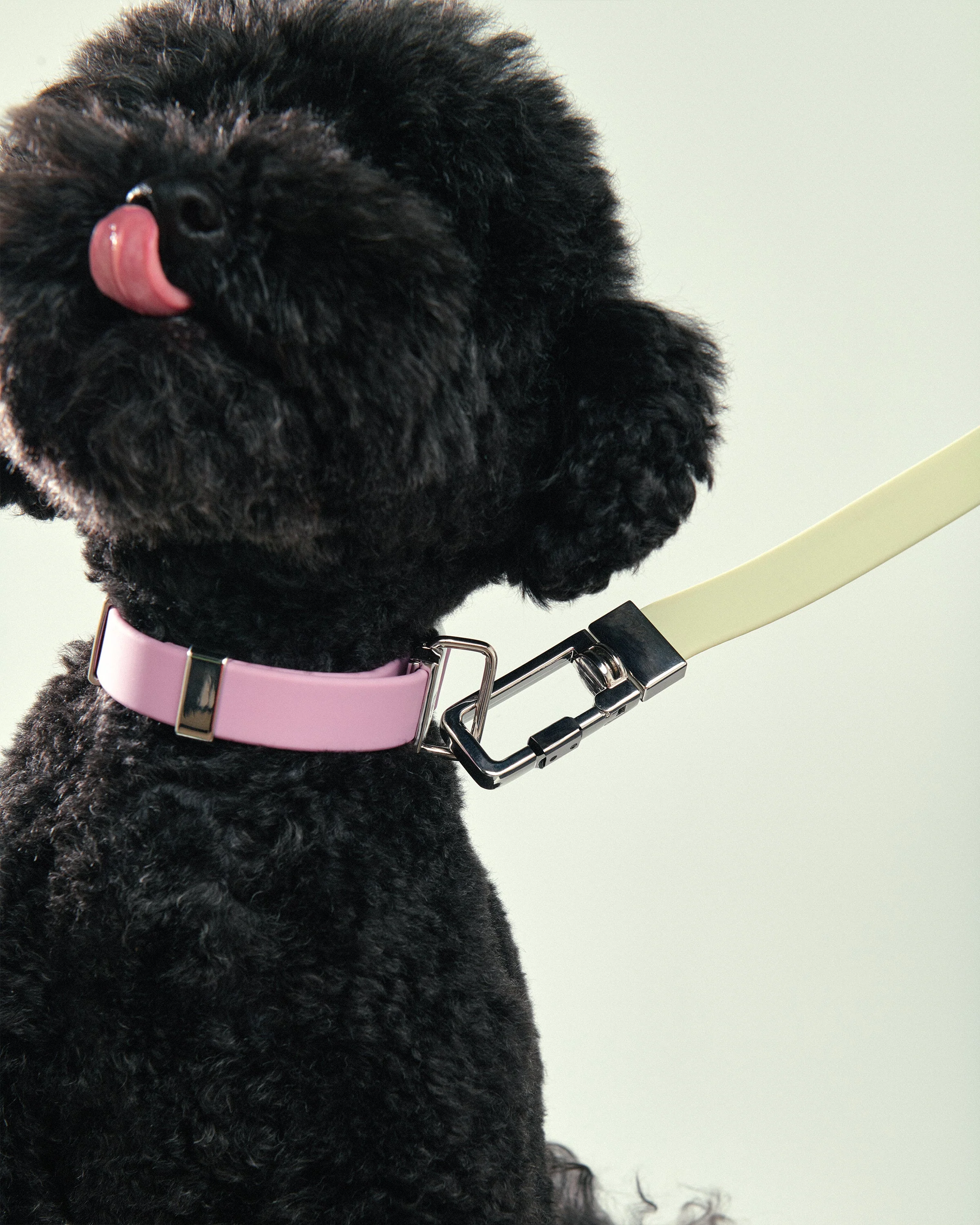 Pet Lead Base - Image 9