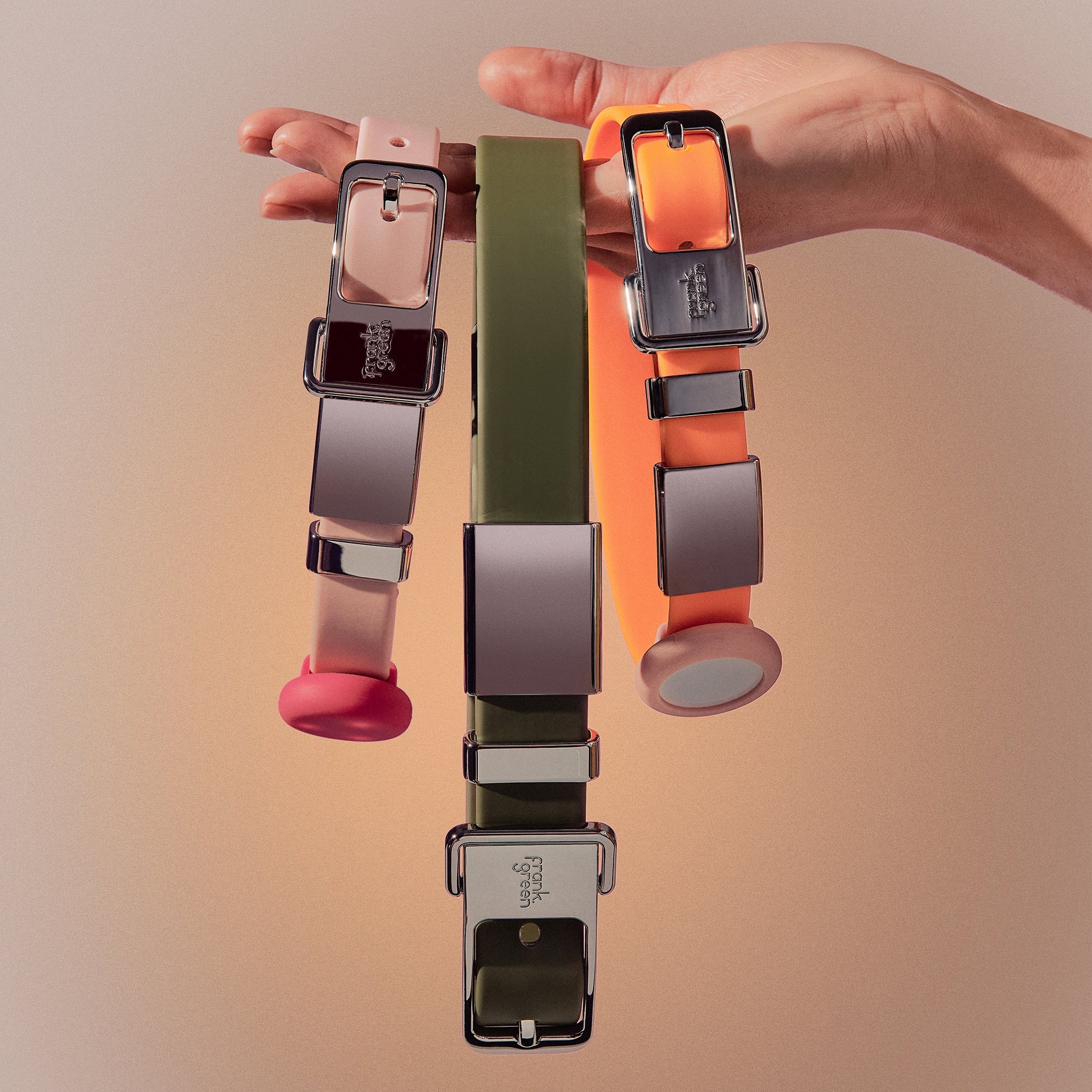 Pet Name Tag - Large - Image 3